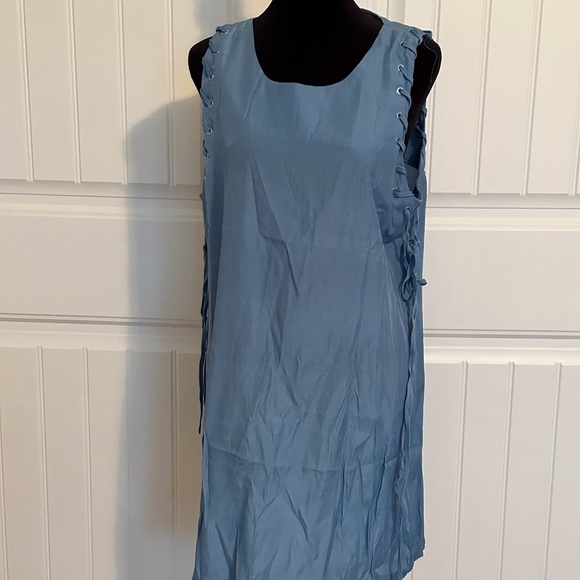 NWT Blue Shift Dress -Small - Picture 1 of 13